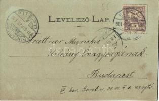 1901 Szatmárnémeti, Szatmár, Satu Mare; Ham János utca, Szatmári Asztalosok bútortelepe, Gyógyszertá...