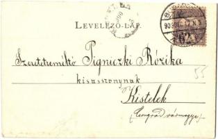 1900 Párkány, Stúrovó; Gyógyszertár. Kiadó St. J. / pharmacy (EK)