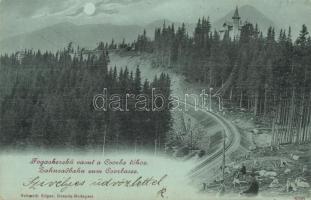 1901 Tátra, Fogaskerekű Vasút a Csorba-tóhoz, favágók fakitermelés közben, este / funicular railway to Strbské pleso, lumberjack during logging, night