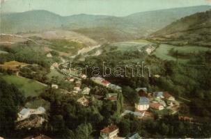 Vihnye, Kúpele Vyhne; Vihnyefürdő látképe. Joerges kiadása 1910. / general view (EK)