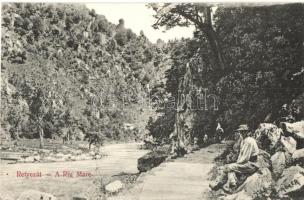 1908 Retyezát, Retezat; Nagyvíz. Adler fényirda / Riu Mare
