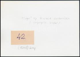 1914 "Fogas" típusú őrnaszád vízre bocsátása, az 1980-as években eredeti negatívról előhív...