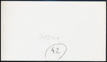 1916 A Bosna monitor a kikötőben, az 1980-as években eredeti üvegnegatívról előhívott kontakt másola...