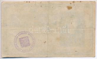 1918. 25K "3011" 3mm, sima hátlappal, hamis "Szolnok Doboka Vármegye Désakna Község 1...