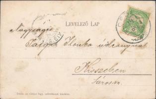 1908 Dédes, Dédestapolcsány; Gróf Serényi István kastélya (kis felületi sérülés / small surface dama...