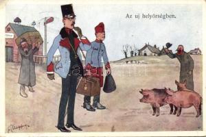 s: Schönpflug Judaika