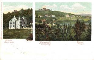 1904 Brassó, Kronstadt, Brasov; Fellegvár / Schlossberg / Dealul Strajii / villa