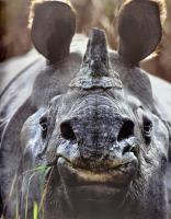 James Parry: Túrázók nagykönyve. Bp.,2008, Totem. Kiadói kartonált papírkötés, kiadói papír védőborí...