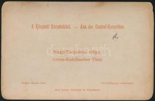 cca 1890 Nagy-Tarpataki-völgy, fotó kartonra kasírozva, Kiss István  műterméből, hátoldalán felirato...