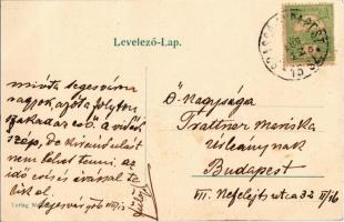 1906 Segesvár, Schässburg, Sighisoara; utca, Evangélikus leányiskola, M. Schullerus üzlete / girl sc...