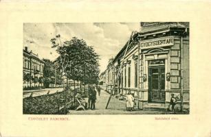 Barcs, Széchenyi utca, Gyógyszertár. W. L. Bp. 5010. Schwarcz Adolf kiadása (EK)