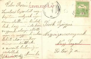 Gyulafehérvár, Alba Iulia; Novák Ferenc tér, Városháza, Jakabffy Albert, Frei Adolf üzlete. W. L. 31...