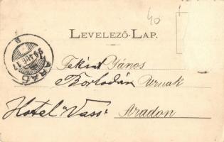 1899 Petrozsény, Petrosani; Szent Ferenc rendi nővérek zárdája. Joánovits és Sternád kiadása / nunne...