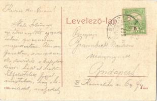 Csíkszereda, Miercurea Ciuc; Rákóczi utca, Fekete Vilmos, Nagy Gyula üzlete. W. L. (?) 1788. / stree...