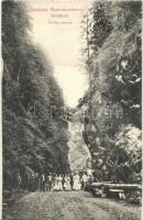 1911 Radnaborberek-fürdő, Valea Vinului; Ördög szoros kirándulókkal / gorge with hikers