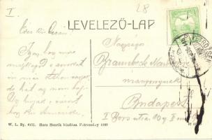 Petrozsény, Petrosani; látkép, templom. W. L. Bp. 6151. Herz Henrik kiadása 1909. / general view, ch...