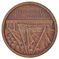 Lapis András (1942-) 1983. "MÉE Szeged - Komócsin Zoltán születésének 60. évfordulójára / Hűség...