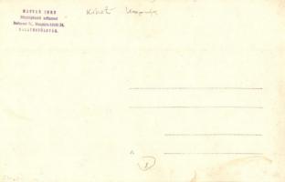 Balatonföldvár, a kikötő kapuja. Magyar Imre photo