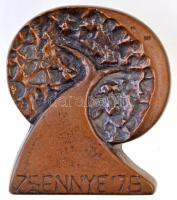 ~1978. "Zsennye '78" Br emlékplakett (58x67mm) T:2