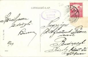 Pozsony, Pressburg, Bratislava; Dunai részlet a várral, "Pozsony" csavargőzös személyhajó....