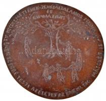 Szabó Iván (1913-1998) DN "Kecskeméti Ének-Zenei Általános Iskola és Gimnázium - Az ének szebbé teszi az életet - az éneklők másokért is" Br plakett (~127-137mm) T:2 patina