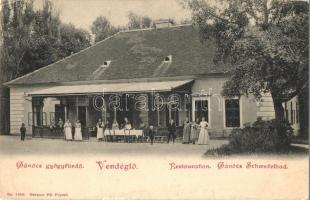 Gánóc, Gansdorf, Gánovce; Vendéglő, étterem, pincérek és pincérnők. Gerusca Pál No. 1350. / Restauration Gánócz Schwefelbad / restaurant, waiters and waitresses, spa (EK)