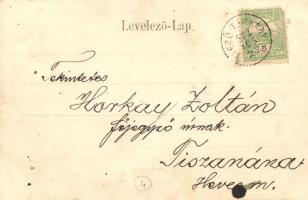 1902 Mezőtárkány, Tűzoltó zászlóanya és koszorús lányok