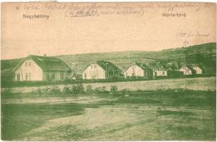 1923 Nagybátony (Bátonyterenye), Mária-táró