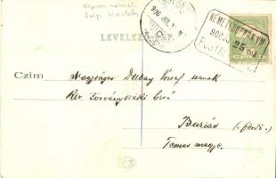 1906 Németi, Sopronnémeti; Kiss Sándor-féle (Sághy) kastély, park