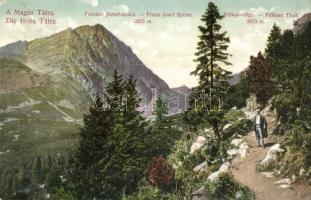 Tátra, Tatry; Ferenc József csúcs (Gerlachfalvi-csúcs), Felkai-völgy / Franz-Josefspitze, Felkaer Thal / Stít Frantiska Jozefa (Gerlachovsky stít), Velická dolina / mountain peak, valley (EK)