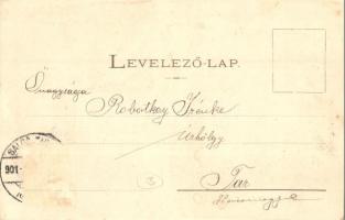 1901 Salgótarján, Zagyva rakodó, ipari vasút fűrészteleppel