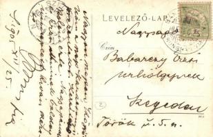 1905 Sándorfalva, Schönborn gróf vadászat előtt. photo