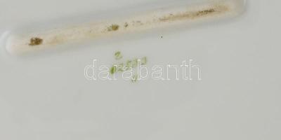 Szecessziós porcelán pecsenyés tál. Kézzel festett, hibátlan. 50x33 cm