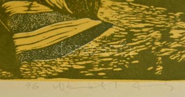 Németh András (1941-): Repülők. Linómetszet papír. Sorszámozott 10/15. jelzett. 25x36 cm