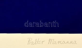 Prakter Mariann: Kompozíció. Színes szitanyomat. 1/47. Jelzett. 25x25 cm