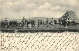 1905 Nevesinje, Hausüberfuhr der Herzegovina / folklore + K. UND K. MILIT. POST 11. NEU BILEK
