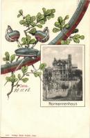 1908 Jena, Normannenhaus / villa. Studentica, fencing art postcard