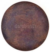 DN "ELTE Ságvári Endre Gyakorló Iskola" Br emlékérem (68mm) T:2