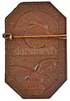 Ausztria 1932. "Gauturnfahrt u. 10 Jahrfeier des Deutsch Turnver. Oberwarth" Br lemezjelvé...