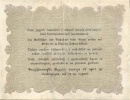 1848. 10Ft (5x) kézzel érvénytelenítve T: restaurált