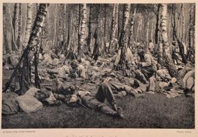 cca 1914-1918 43 db Az Érdekes Újság harctéri felvételeiből, 19x27 cm és 20x19 cm közötti méretben