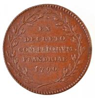 1790. Brabant függetlenségének elnyerésére kiadott emlékérem Br emlékérem (32mm) T:2 1790. Commemorating the Brabant revolution Br commemorative medallion (32mm) C:XF