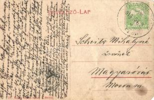 1913 Lovasberény, Önkéntes tűzoltók őrtanyája. Kiadja Vértes Károly 224. (EM)