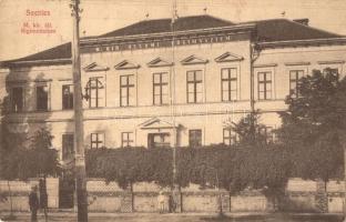 1914 Szentes, M. kir. állami főgimnázium, Cirkusz Variete reklám plakát villanyoszlopon. 6. (fa)