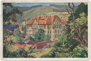 31 db RÉGI felvidéki városképes lap / 31 pre-1945 Slovakian town-view postcards