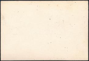 cca 1940 Német tiszthelyettes kitüntetésekkel: vaskereszt, gyalogsági rohamjelvény, stb. / German We...