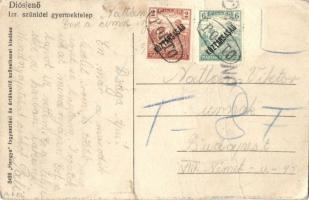 Diósjenő, Izraelita szünidei gyermektelep + Portó (fa)