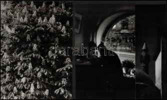 cca 1950 Réti Pál (1918-1989) budapesti fotóművész hagyatékából 7 db vintage fotó, az egyik pecséttel jelzett + hozzáadva egy portrét a művészről, 13x18 cm és 24x18 cm között