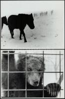 cca 1986 Kerekes Gábor (1945-2014) budapesti fotóművésztől 4 db vintage fotó, kettő pecséttel jelzet...