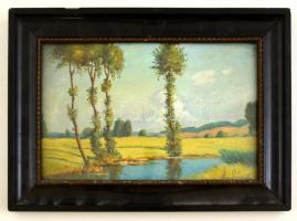 Olvashatatlan jelzéssel: Tavacska, olaj, karton, üvegezett fa keretben, 18×28,5 cm